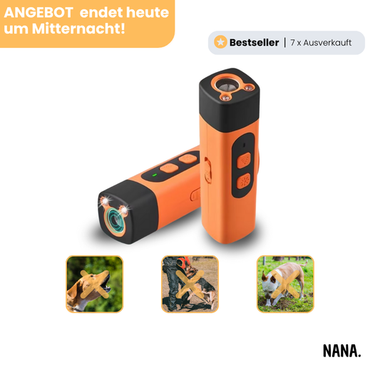 BellBlock - Ultraschall Training für Zuhause